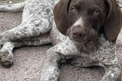 22394BB7-994E-4E2B-B1FE-3CFB0ADA15DC