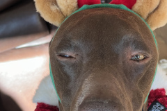 3683F635-7B6D-401C-AB04-88EC1BE68298