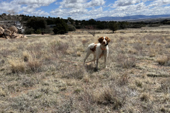 46E6EC86-70A0-4322-9F8F-C5C9DC34089A