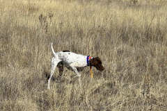 4979C459-A0D8-4059-AC37-5D93A0A172FD