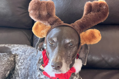 4BC8AA1F-9F6E-457E-9785-85F2E56E753F