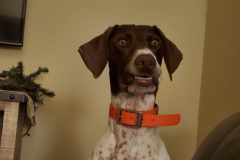 698A3595-8E6E-4775-8AF0-E43B831443CE