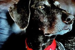 800E44A2-B2DF-4003-A0F5-F9D08C8E9D67