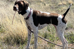 8D7F19BC-70E8-41D3-BB7C-878296FC5800