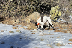 95B023E0-0DB6-4B23-8BED-3D080D24AFB2