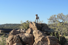 B198B58A-C88E-47F8-A2F0-EA2EB7B7D98D