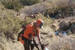 B74E63FA-6A16-404E-B341-3E999C45333C