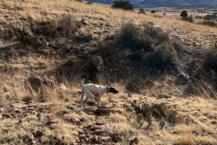 C8C6219A-B5A0-470A-A147-8B1D11200E67