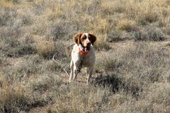 F774BD0A-F74C-4EF3-B920-63E7904CA9D6